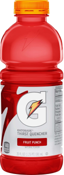 Gatorade Fruit Punch Thirst Quencher 24 Fld Oz Plastic Bottle