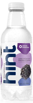 Blackberry Hint Fizz Water, 16.9 Ounce Bottles (Pack of 12)