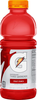 Gatorade Fruit Punch, Twenty Ounce Plastic Bottles (Pack of 24)